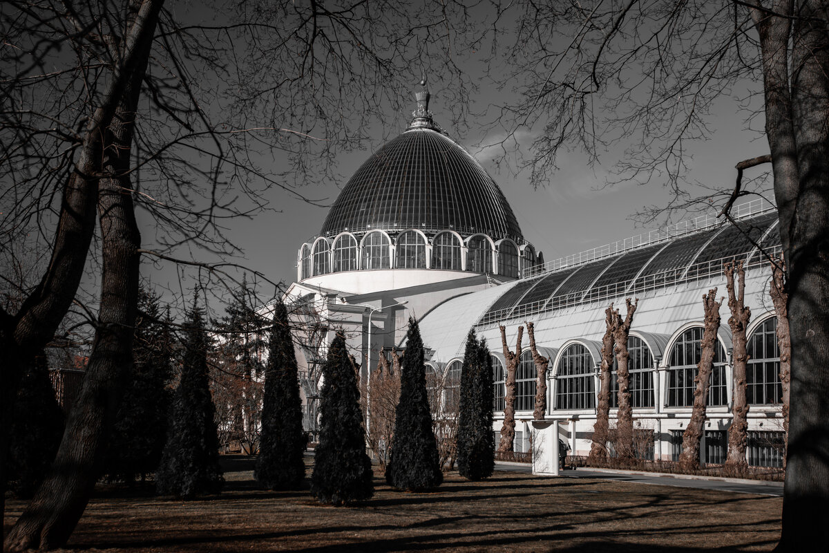 Космос - Игорь Егоров Космос - Игорь Егоров