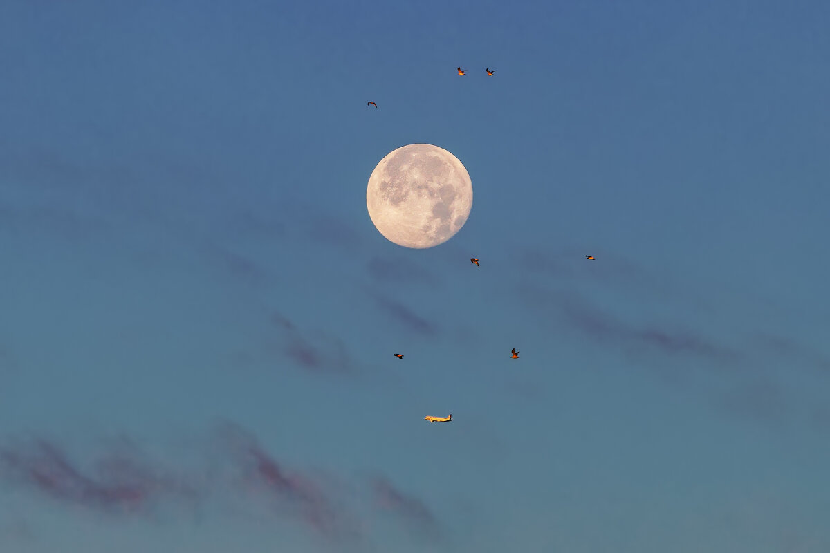 Про небо и космос - Владимир Колесников