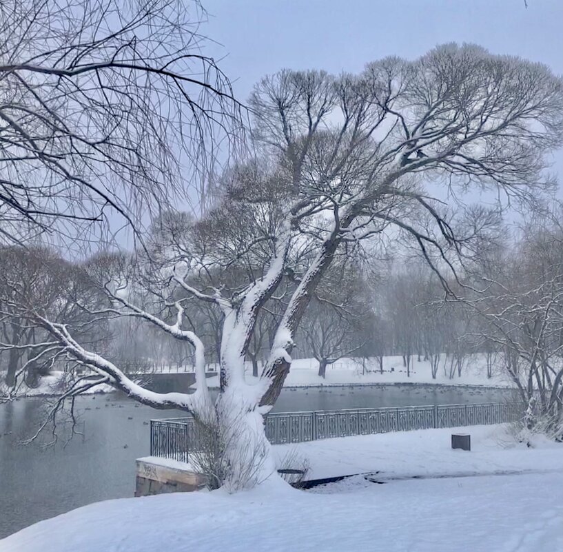 Накануне 8 марта - Татьяна Накануне 8 марта - Татьяна