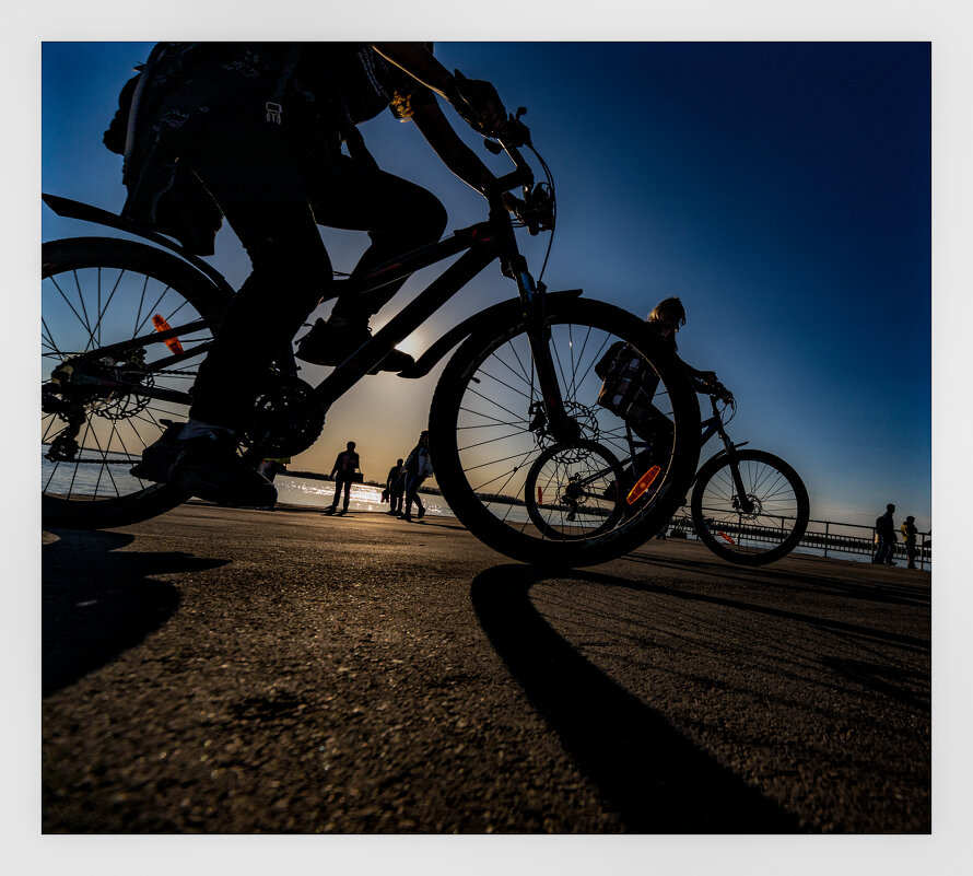 Велосипедисты. - Елена Демидова 