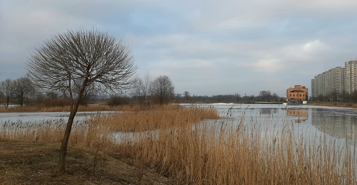 Март - Наталья Герасимова Март - Наталья Герасимова