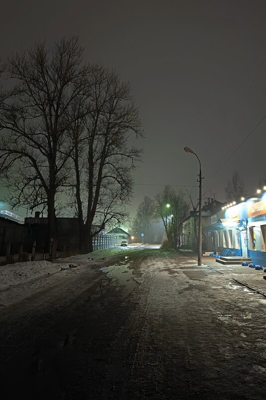 ул.Невская в г.Дно - Артем 