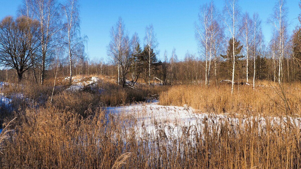 Смоленщина в конце зимы. - Милешкин Владимир Алексеевич Смоленщина в конце зимы. - Милешкин Владимир Алексеевич
