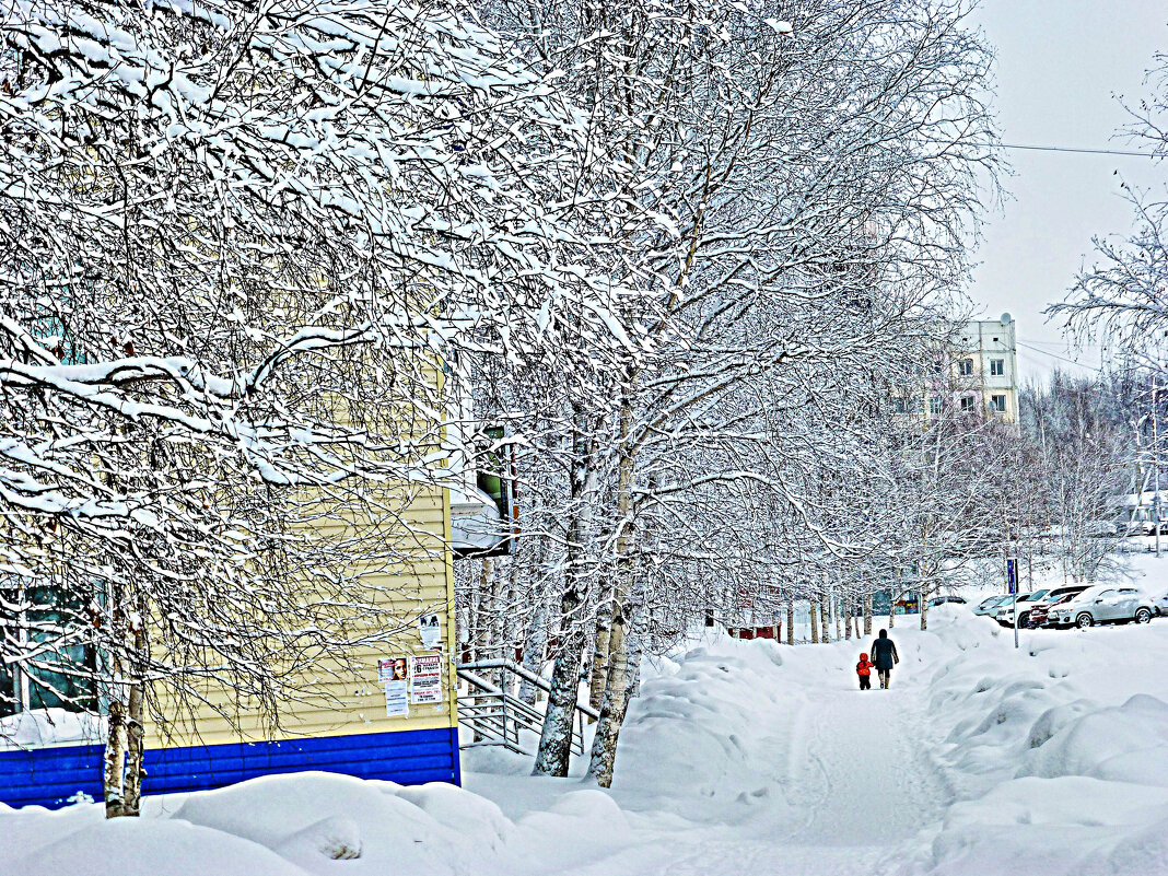 Февраль...Утро после снегопада! - Владимир 