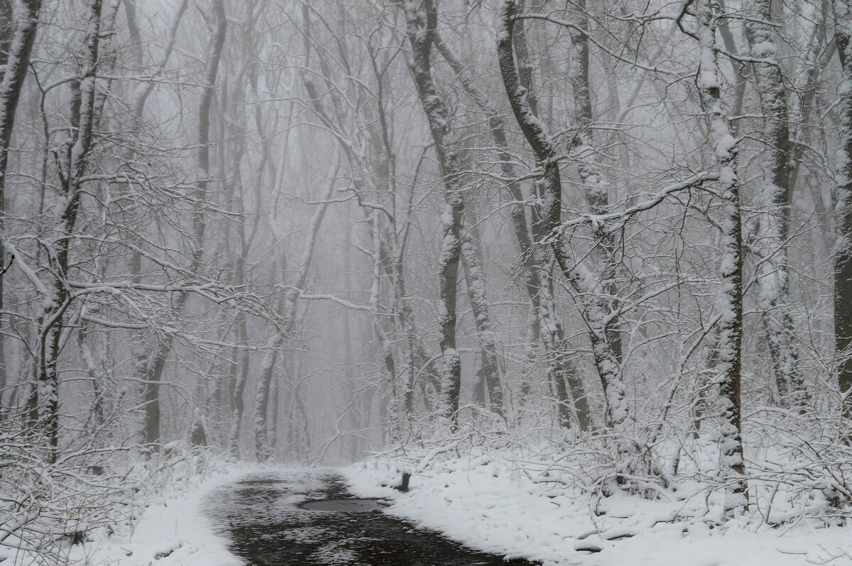 Метель..... - Юрий Цыплятников Метель..... - Юрий Цыплятников