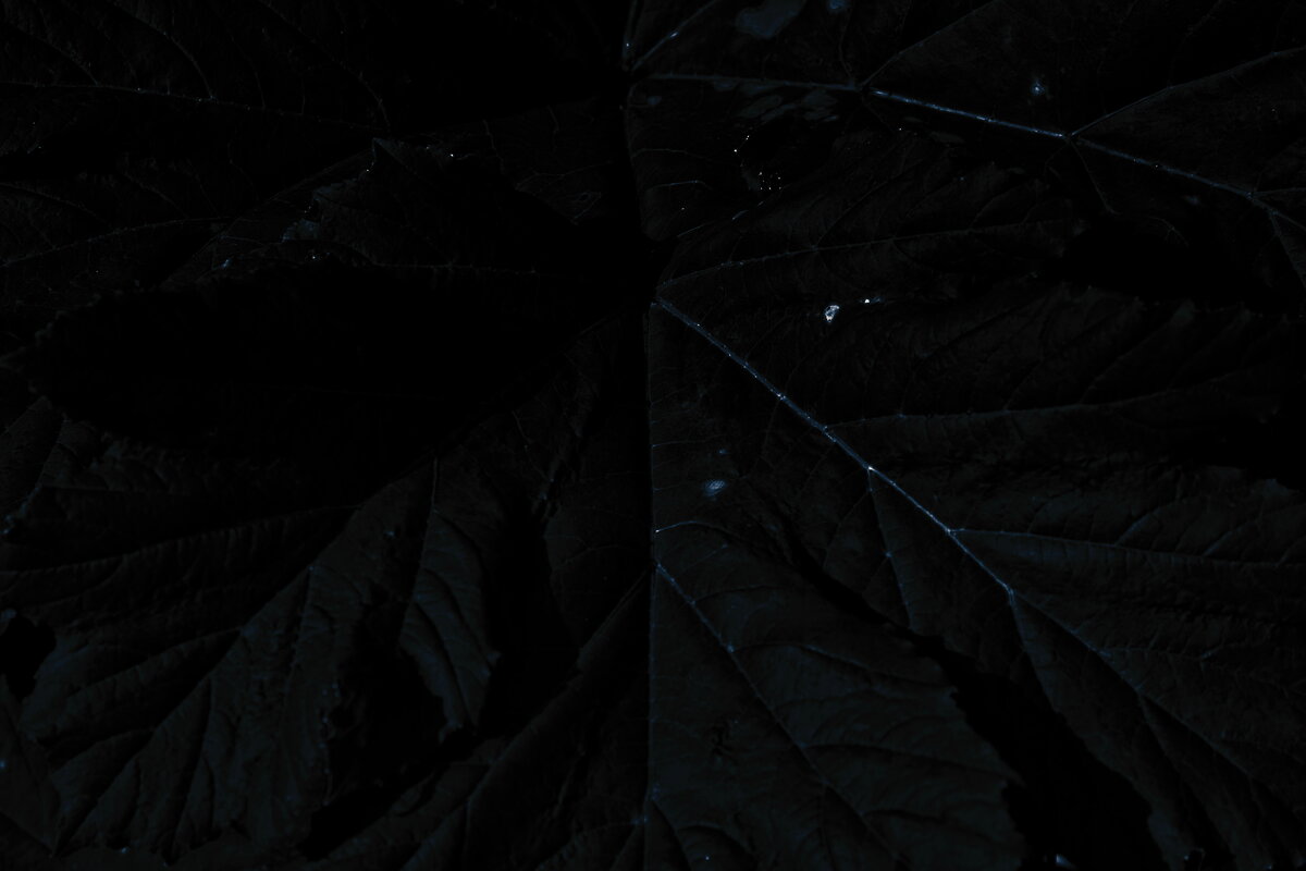 Название отсутствует - Денис Безногов Название отсутствует - Денис Безногов