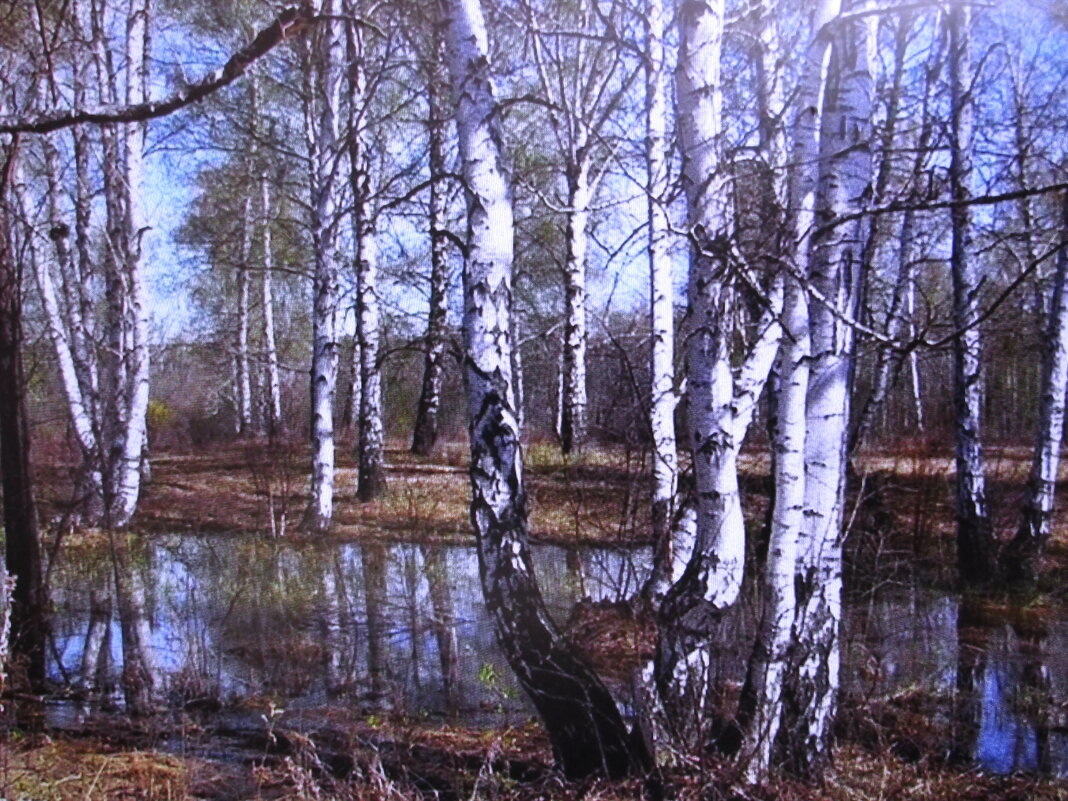 Весна - Людмила Смородинская Весна - Людмила Смородинская