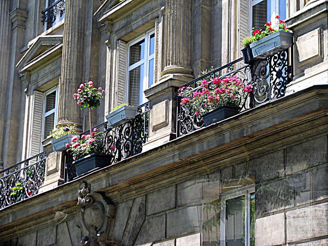Париж. - Владимир Драгунский Париж. - Владимир Драгунский