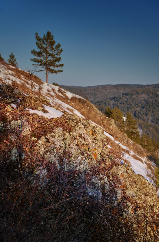 * - Александр Иванов * - Александр Иванов