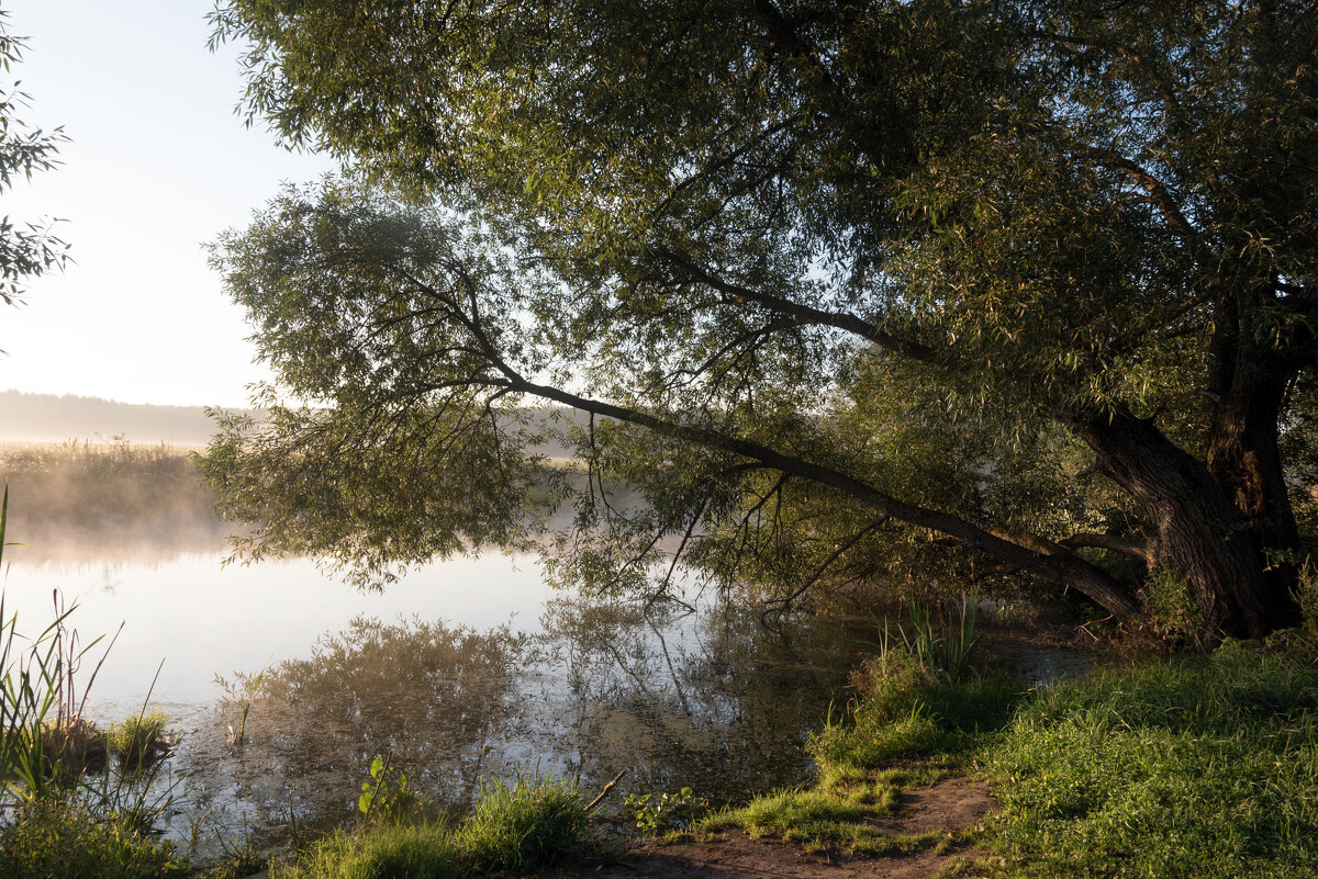 Клёвое место. - Владимир Безбородов Клёвое место. - Владимир Безбородов
