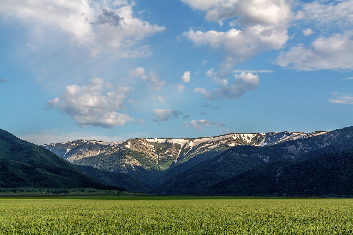 Риддер - Дмитрий Риддер - Дмитрий