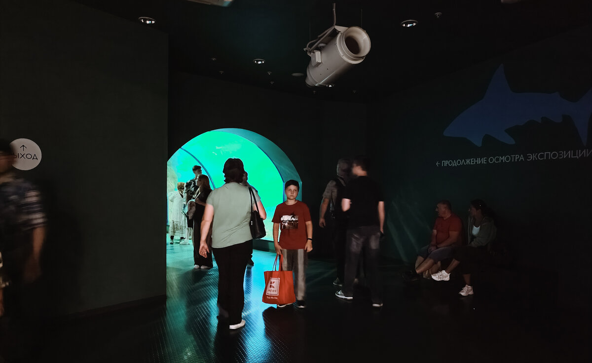 На ВДНХ - Sergei Vikulov