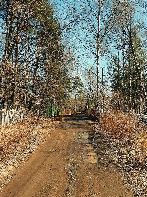 Весенний мотив - Леонид leo