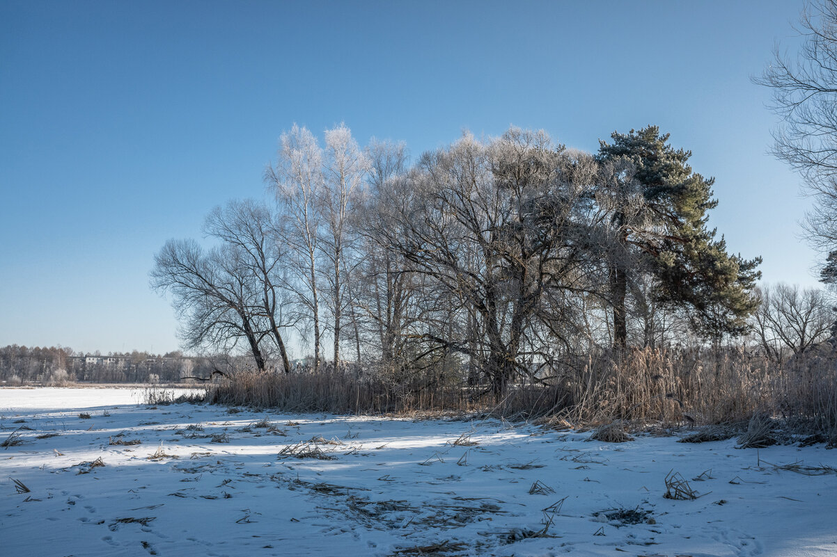 Последний иней на деревьях. - Михаил "Skipper" Последний иней на деревьях. - Михаил "Skipper"