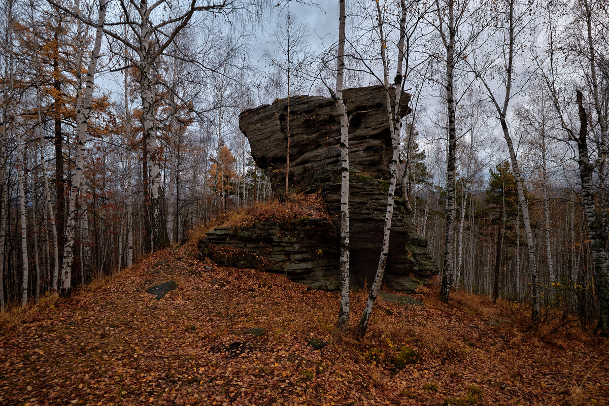 Скоро ночь. - Юрий кот