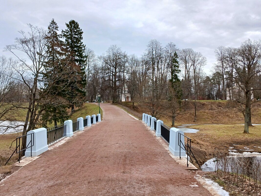 Петровский мостик. - Лия ☼