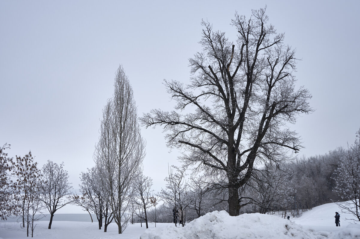 Графика ранней весны - Олег Манаенков
