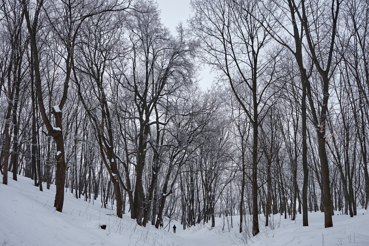 Тропинка в парке - Олег Манаенков
