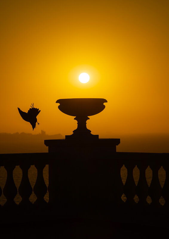 Свержение тёмного князя. - Анатолий Щербак Свержение тёмного князя. - Анатолий Щербак