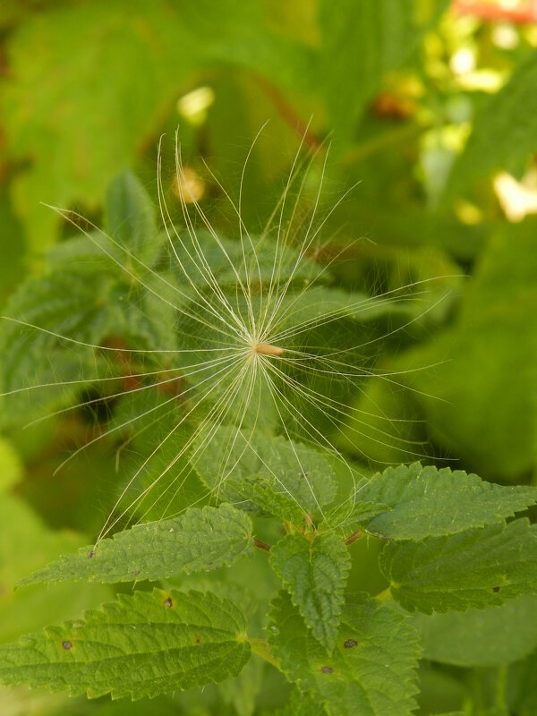 ... - Александр Кольцов