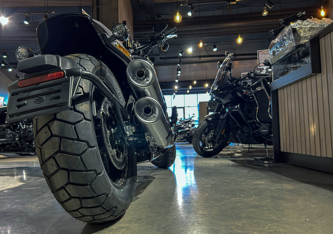 Harley-Davidson - Дмитрий Иванов