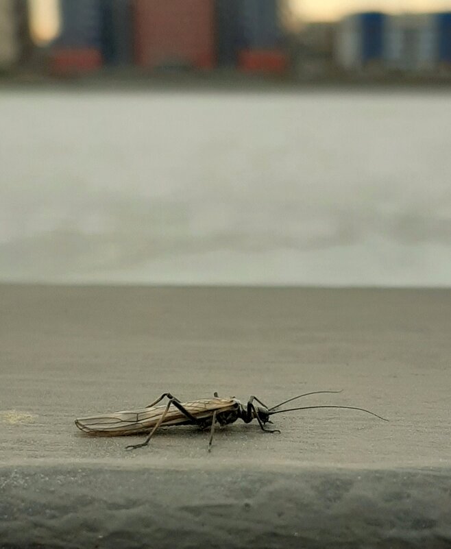 Неожиданная встреча - Наталья Герасимова Неожиданная встреча - Наталья Герасимова