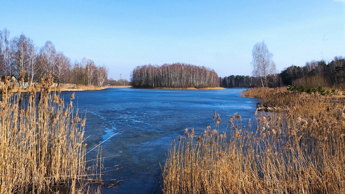 Весна в марте. - Милешкин Владимир Алексеевич 