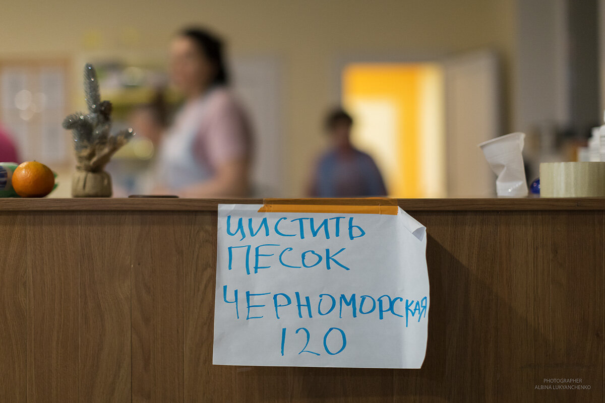 чистка - Albina Lukyanchenko