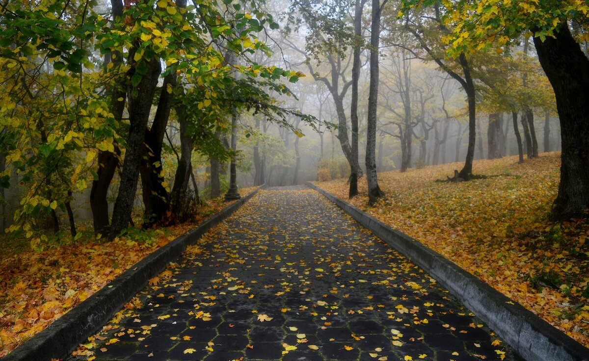 В парке осеннем..... - Юрий Цыплятников
