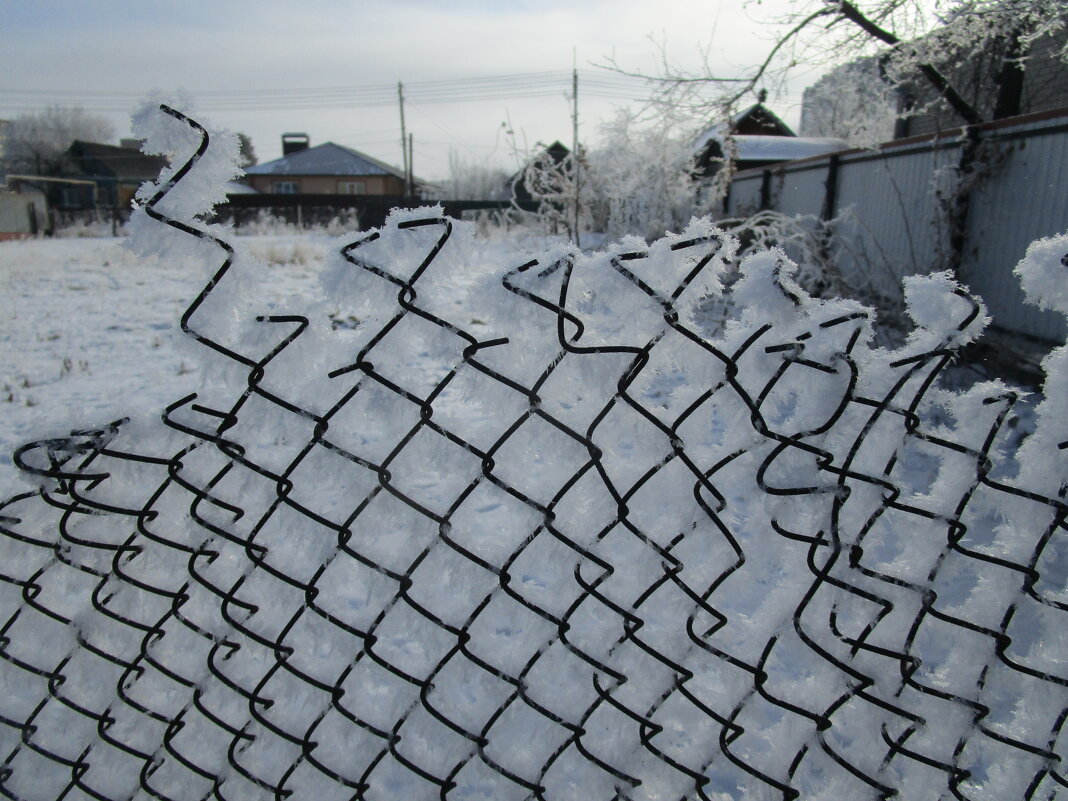 прошлогодний март - Елена Шаламова