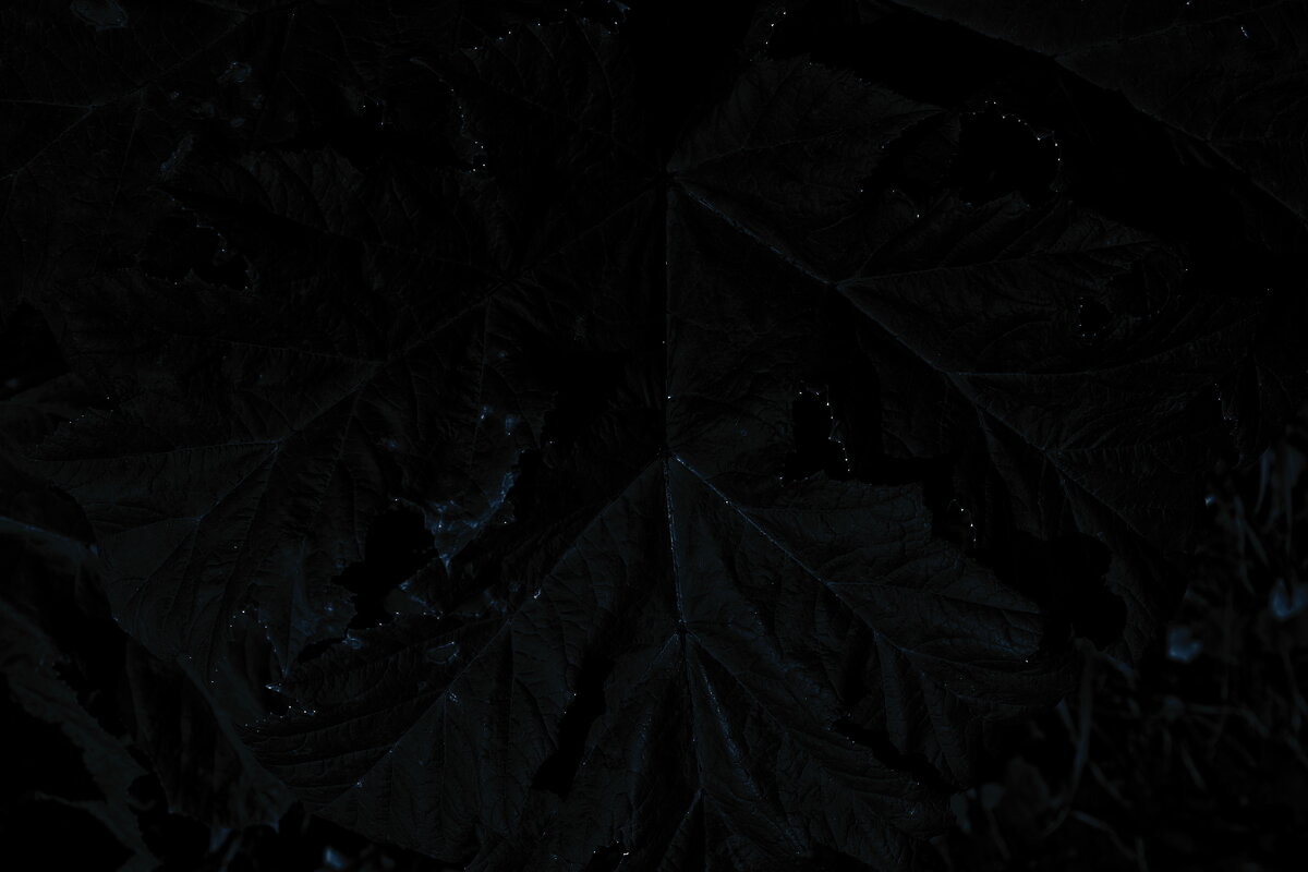 Название отсутствует - Денис Безногов Название отсутствует - Денис Безногов