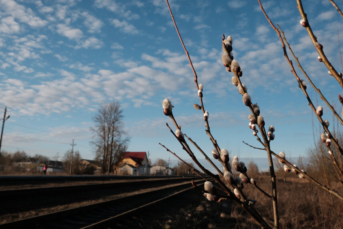 Весна идёт! - Олег Зоркий Весна идёт! - Олег Зоркий