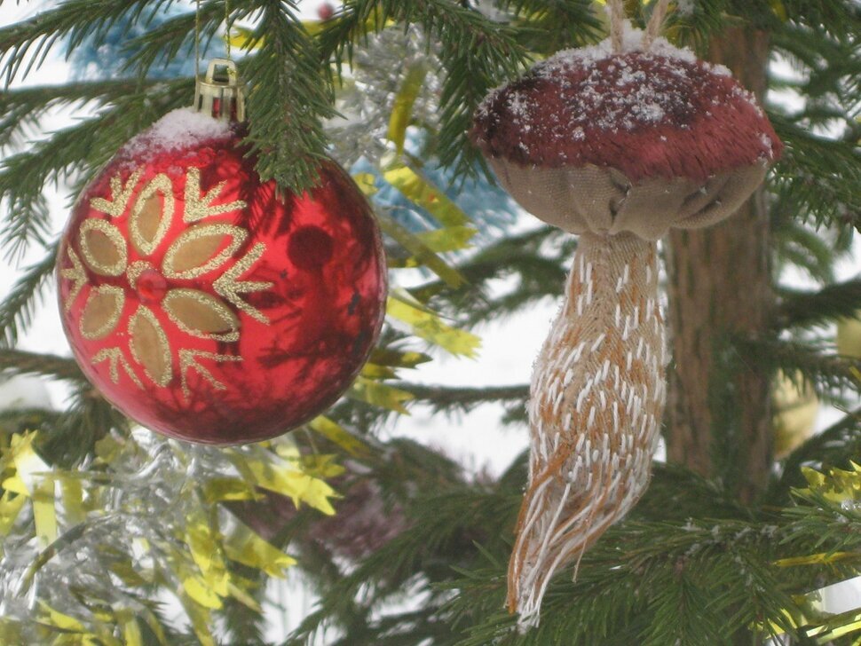 На ёлке шарик и грибок - Дмитрий Никитин