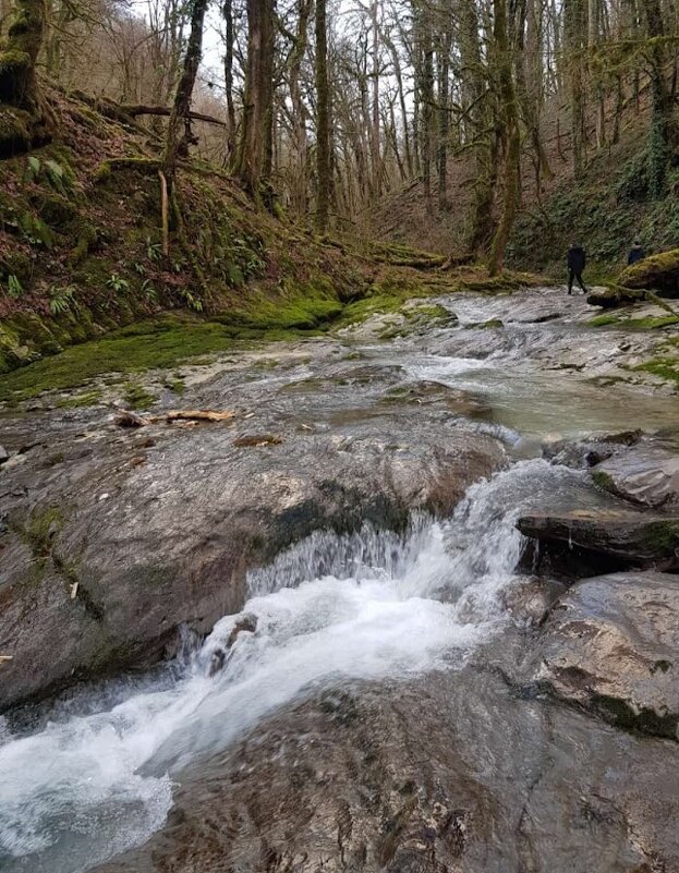 ОРЕХОВКА - Tata Wolf