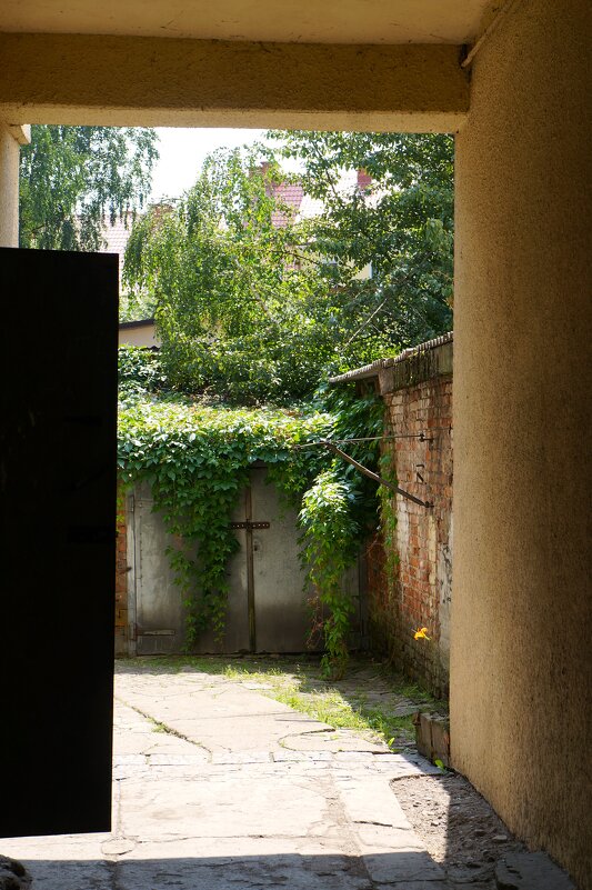 Дверь в чужую жизнь..... - Алёна Савина