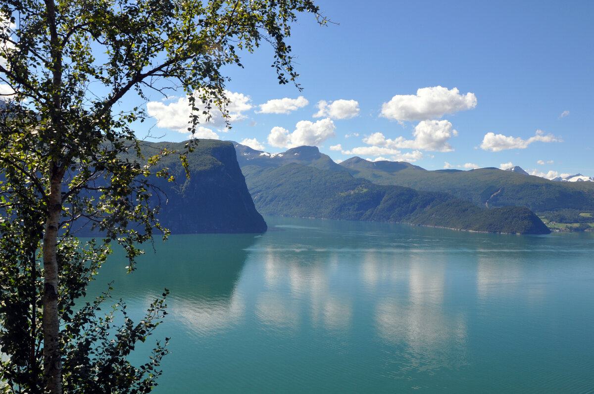 Пейзаж с березой - Ирина Ватолина Пейзаж с березой - Ирина Ватолина