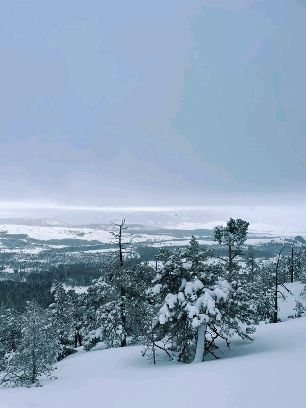 Зима в горах - Георгиевич Зима в горах - Георгиевич