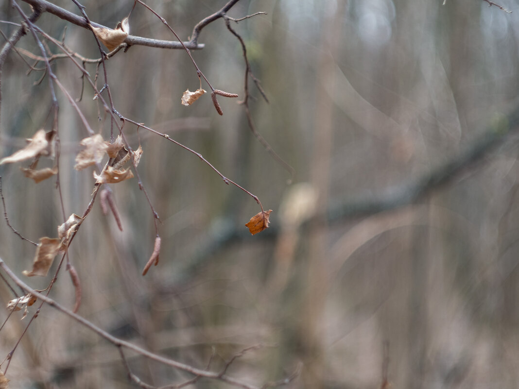 ___ - Yuriy V ___ - Yuriy V