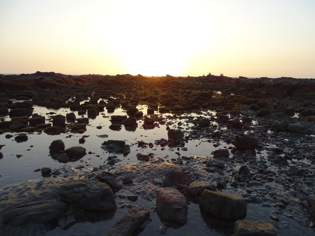 Отлив - Павел Трунцев