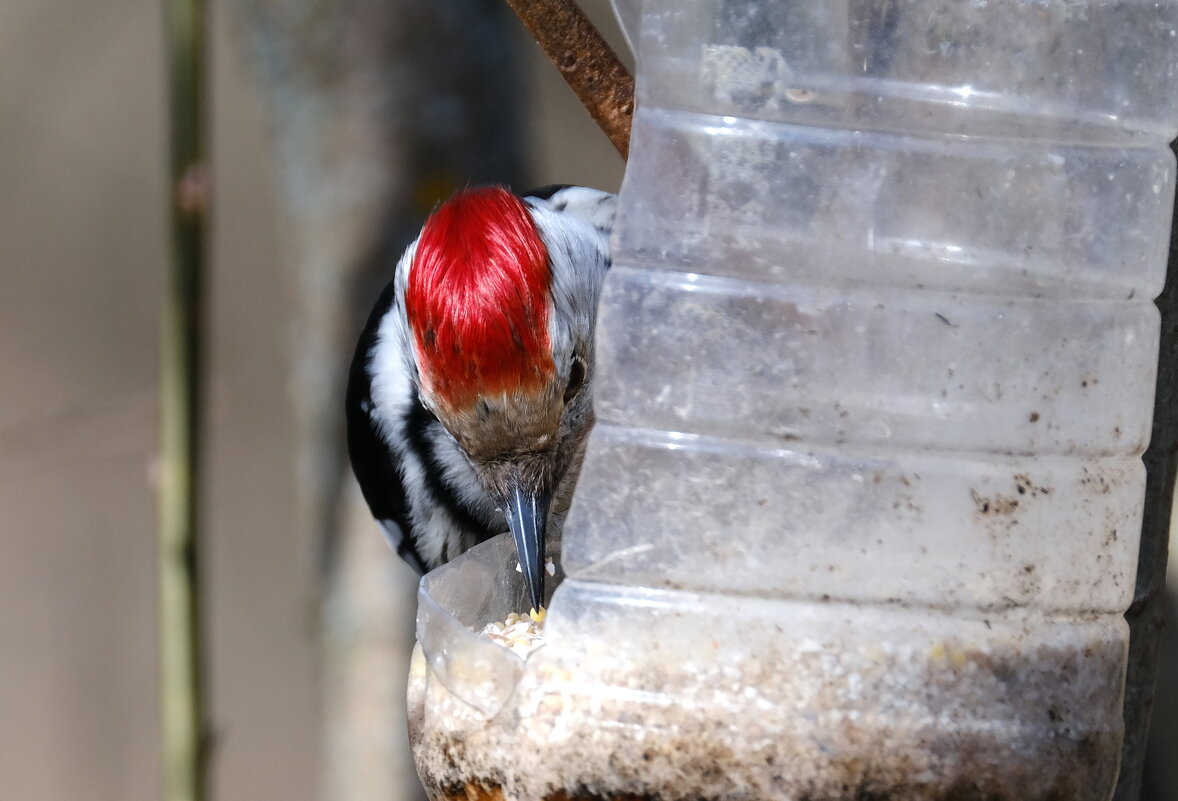 Вкусная штучка - Андрей Зайцев Вкусная штучка - Андрей Зайцев
