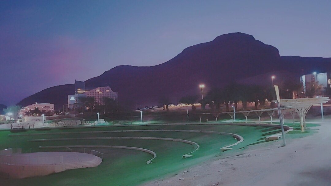 110 (20) - СТРЕН 