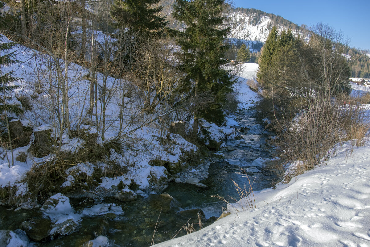 ** - Александр Липовецкий