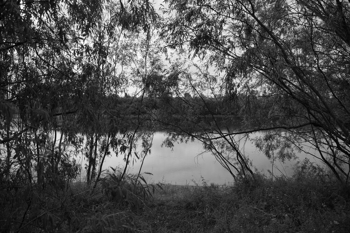 Название отсутствует - Денис Безногов