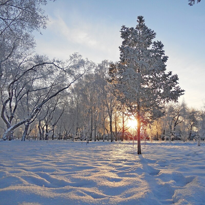 Морозный день - Сергей Швечков