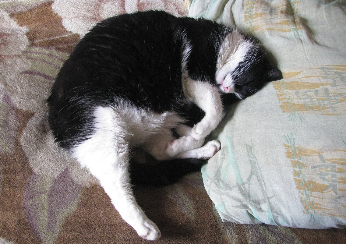 Кайф - Людмила Смородинская Кайф - Людмила Смородинская