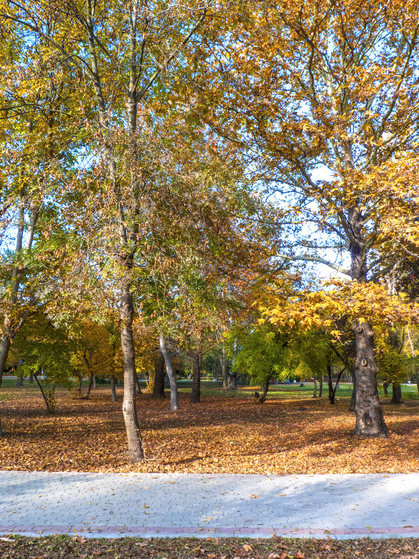 Осень золотая - Валентин Семчишин Осень золотая - Валентин Семчишин