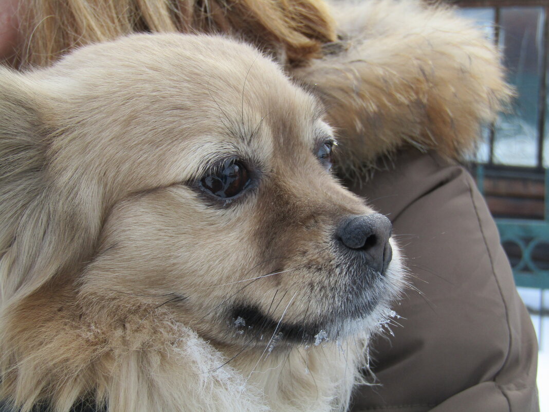 Серьёзная - Galaelina *** Серьёзная - Galaelina ***