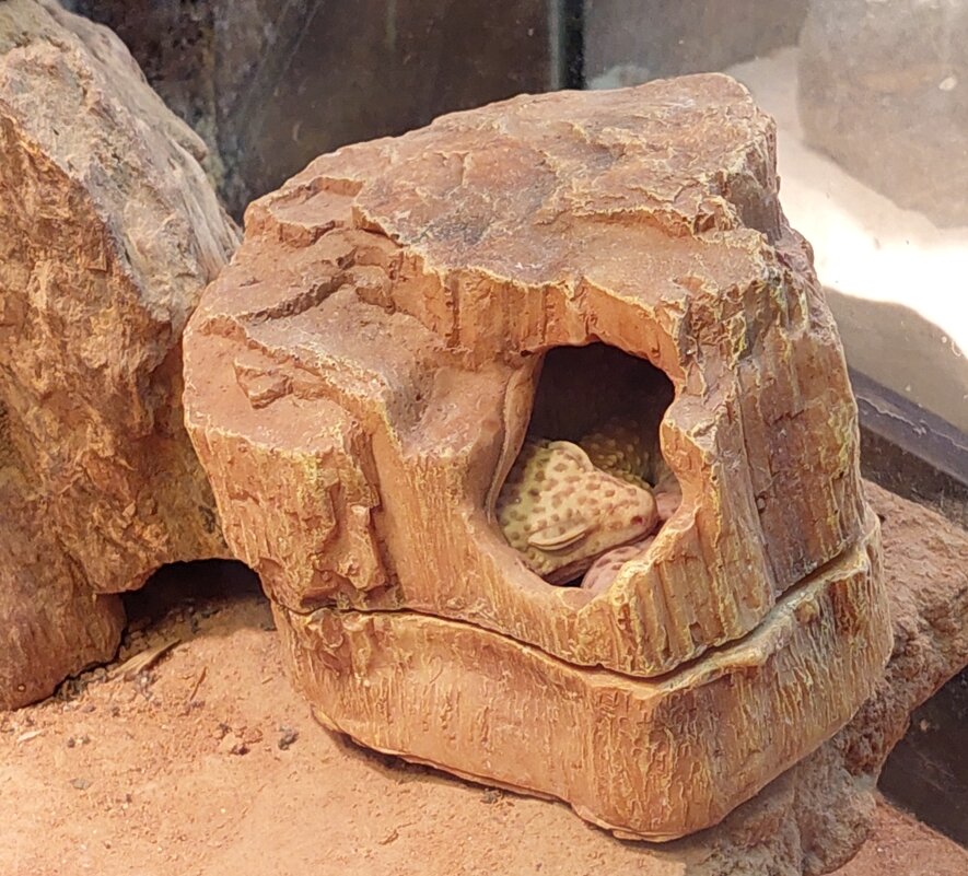 сладких снов - ИРЭН@ . сладких снов - ИРЭН@ .