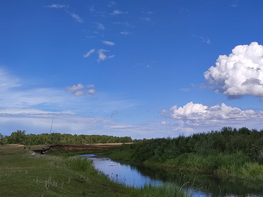 Ловись рыбка... - Валентина Богатко 