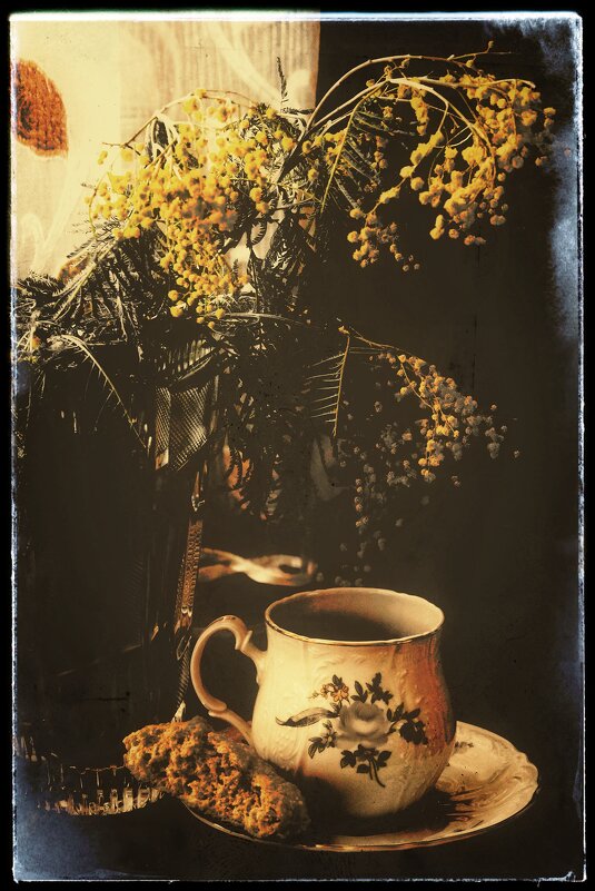 Мимоза... - Руслан 